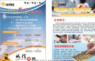 財(cái)務(wù)公司彩頁(yè) 專業(yè)財(cái)務(wù)咨詢，助力企業(yè)穩(wěn)健成長(zhǎng)